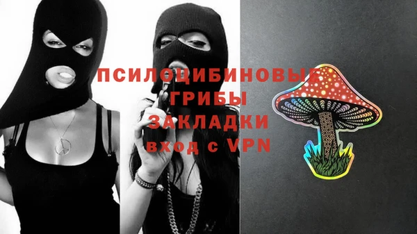 МДМА Сясьстрой
