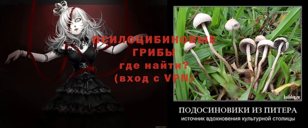 кокаин Бородино