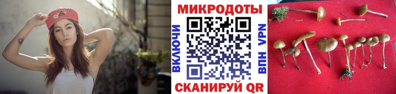 купить наркоту  Козельск  Галлюциногенные грибы прущие грибы 